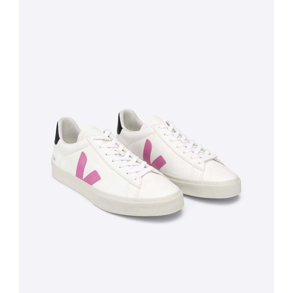 Low Tops Sneakers Dama Veja CAMPO CHROMEFREE White/Purple | RO 597FDN